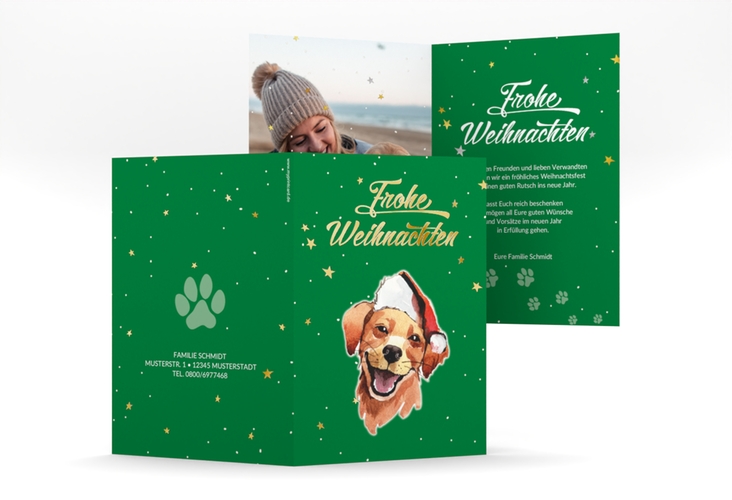 Weihnachtskarte Frosty A6 Klappkarte hoch gruen gold mit Hund mit Nikolausmütze