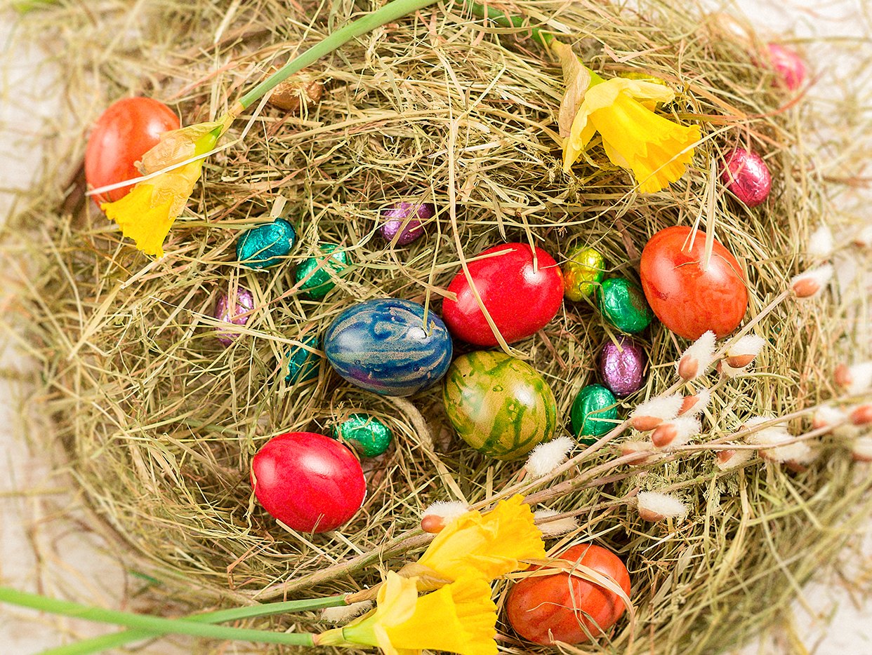 Basteln für Ostern: Osterhasen als Osternest – myprintcard